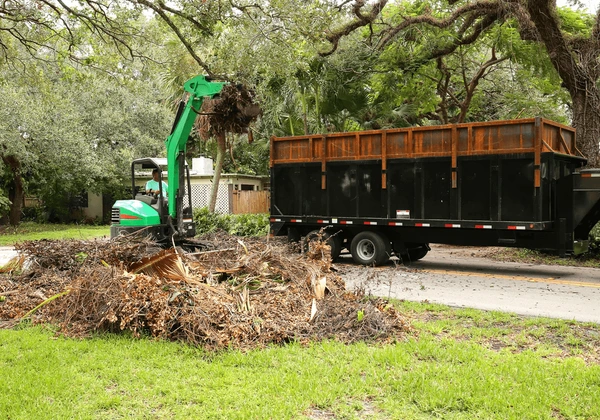 Say Goodbye to Waste with Yard Debris Removal in Kansas City