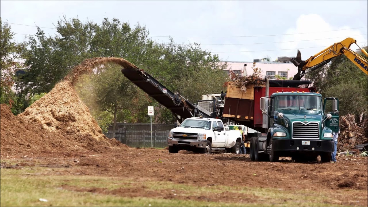 Why Timely Tree Debris Removal Matters in Overland Park